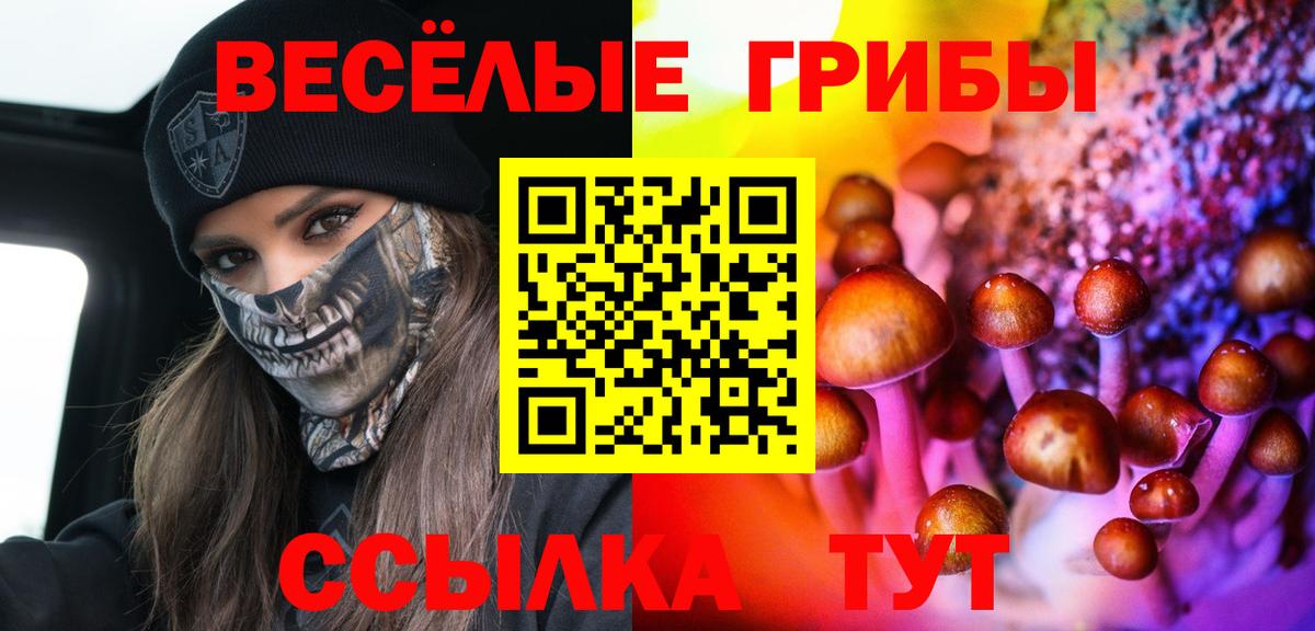 Галлюциногенные грибы мицелий  Вход с VPN  Борзя  Псилоцибиновые грибы мухоморы 