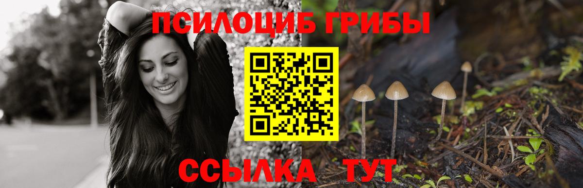Галлюциногенные грибы мицелий Борзя